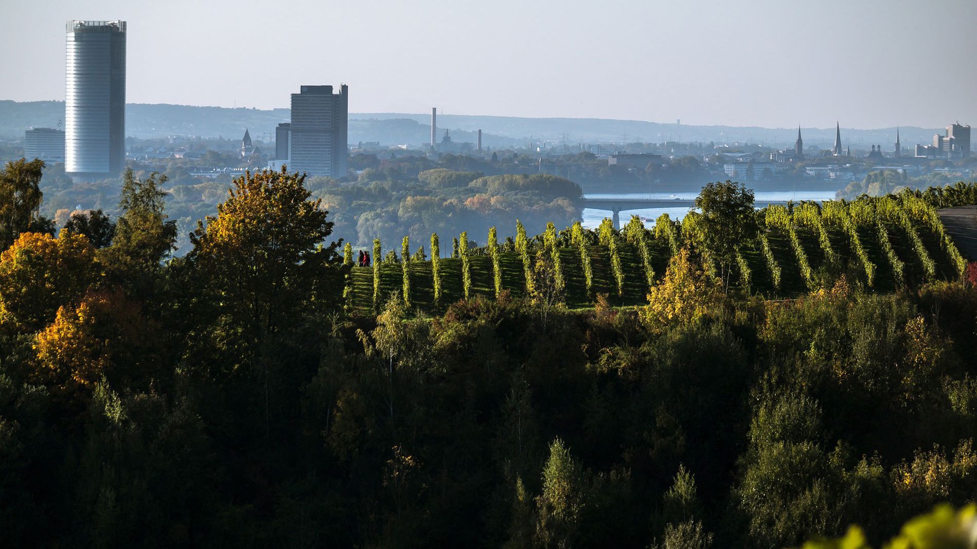 Beispielbild Wüste
